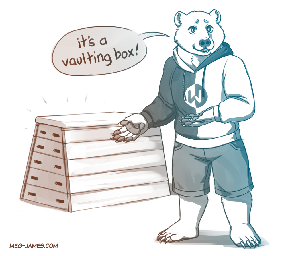 It’s a vaulting box