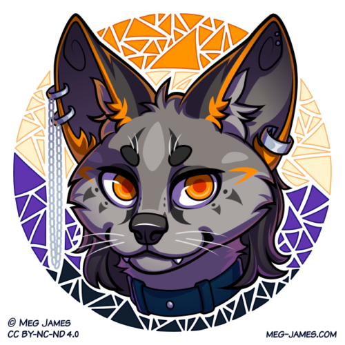Icon of Hayny, and anthro serval, framed in a decorative circle colored like the nonbinary flag.