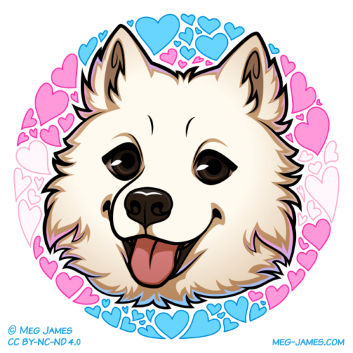 Icon of Panda, a Samoyed dog, framed in a decorative circle colored like the transgender flag.