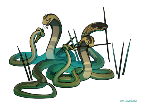 Fullbody drawing of three snake people. Ossinsa, left, sprays venom into a rolled-up leaf held in her tail. Tesents, center, holds a leaf in her tail and uses it to coat venom onto the end of a wooden stake held in her mouth. Lissek, right, holds another stake in her mouth and prepares to plunge it into the ground for use as a trap.