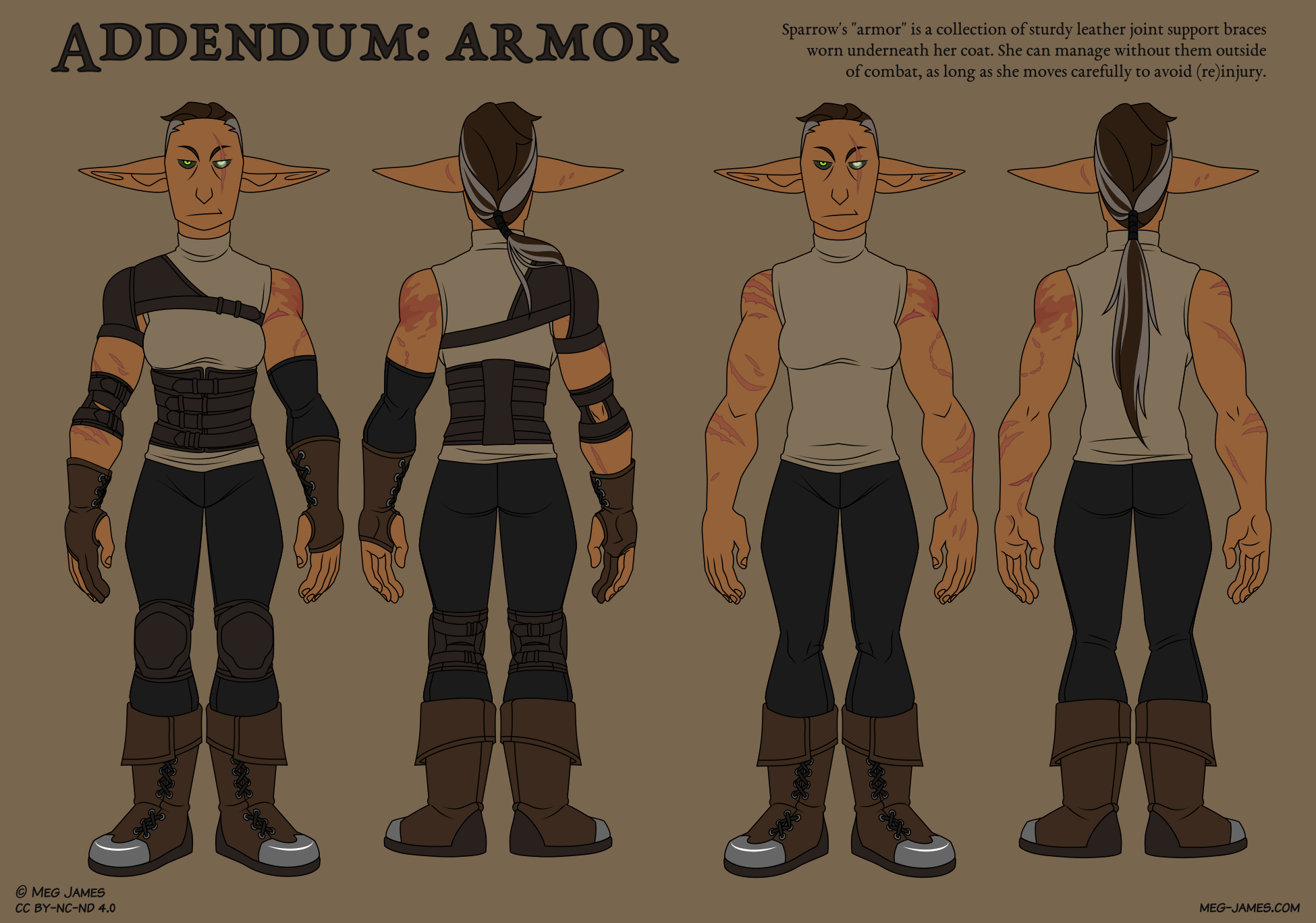 Sparrow reference: armor addendum