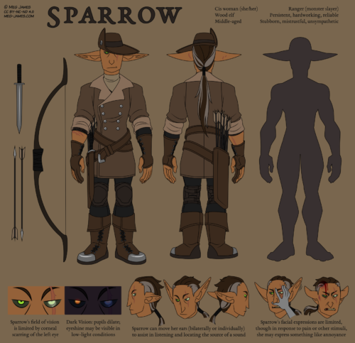 Reference image of Sparrow. 