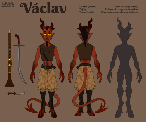 Reference image of Václav. 