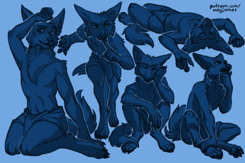 Sketch page featuring multiple sketches of Mehhur, an anthro jackal, in multiple poses and angles. The sketches are loosely shaded and toned in blue.