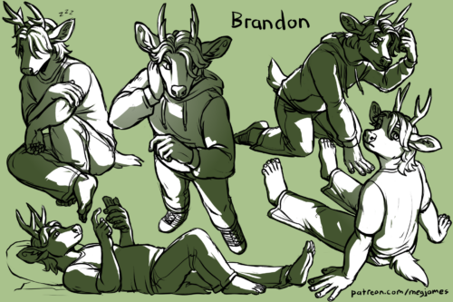 Sketch page featuring multiple sketches of Brandon, an anthro roe deer, in multiple poses and angles. The sketches are loosely shaded and toned in green.