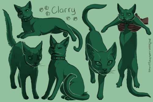 Sketch page featuring multiple sketches of Clarry, an abyssinian cat, in multiple poses and angles. The sketches are loosely shaded and toned in green.