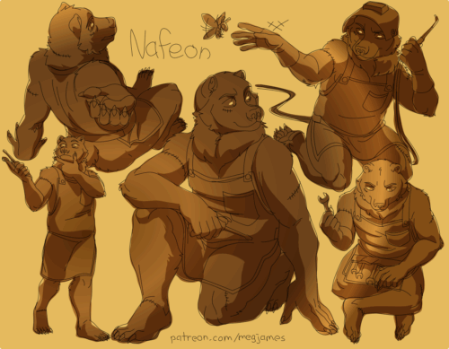 Sketch page featuring multiple sketches of Nafeon, an anthro european brown bear, in multiple poses and angles. The sketches are loosely shaded and toned in gold.