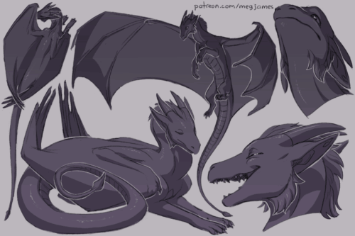 Sketch page featuring multiple sketches of Kyreeth, a western dragon, in multiple poses, angles, and expressions. The sketches are loosely shaded and toned in gray-purple.