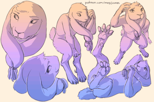 Sketch page featuring multiple sketches of Tael, an anthro hare-like creature, in multiple poses, angles, and expressions. The sketches are loosely shaded and toned in blue, purple, and pink.