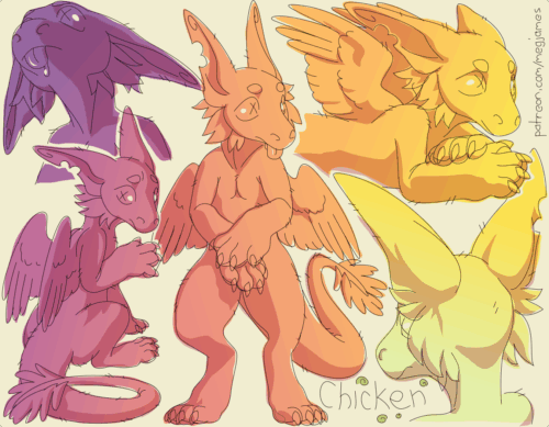 Sketch page featuring multiple sketches of Chicken, an anthro angel dragon, in multiple poses, angles, and expressions. The sketches are loosely shaded and toned in pink, orange, and yellow gradients.