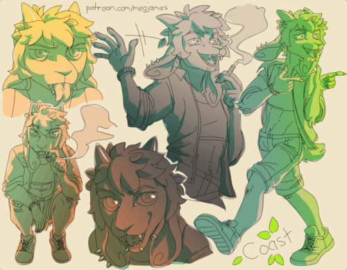 Sketch page featuring multiple sketches of Coast, an anthro goat, in multiple poses, angles, and expressions. The sketches are loosely shaded and toned in yellow, green, brown, and gray gradients.