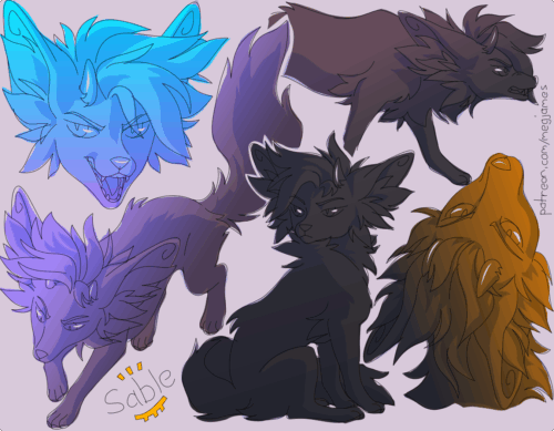 Sketch page featuring multiple sketches of Sable, a horned fox-like creature, in multiple poses, angles, and expressions. The sketches are loosely shaded and toned in blue, purple, gray, and gold gradients.
