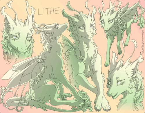 Sketch page featuring multiple sketches of Lithe, a fluffy fairy dragon, in multiple poses, angles, and expressions. The sketches are loosely shaded and toned in pale green and white gradients on a pale orange backdrop.
